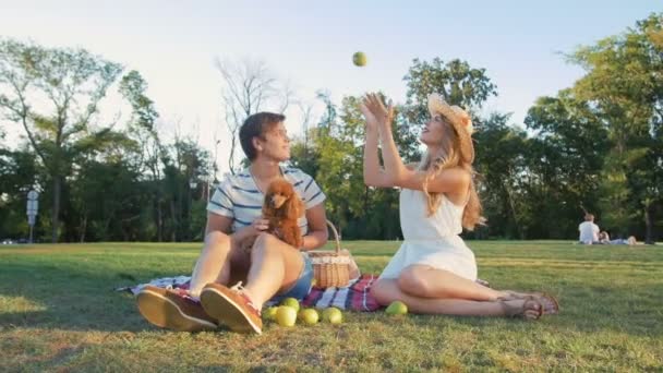 Pareja en el picnic Descanso con perro — Vídeos de Stock