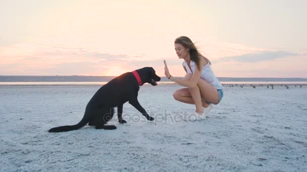 Жінка з чорним собакою — стокове відео