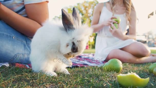 Couple au repos pique-nique avec lapin — Video