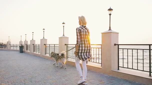 Woman walking with husky — Stock Video