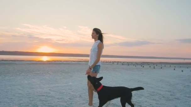 Vrouw met hond op Zeekust — Stockvideo