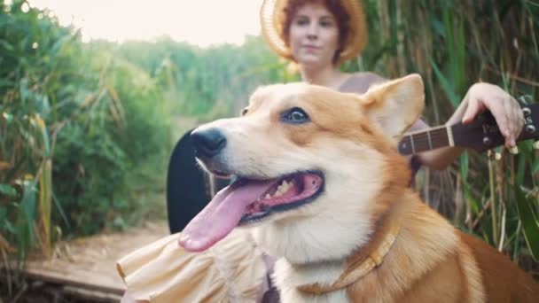 Frau mit Hund in der Natur — Stockvideo