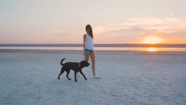 Ung kvinna med svart hund — Stockvideo