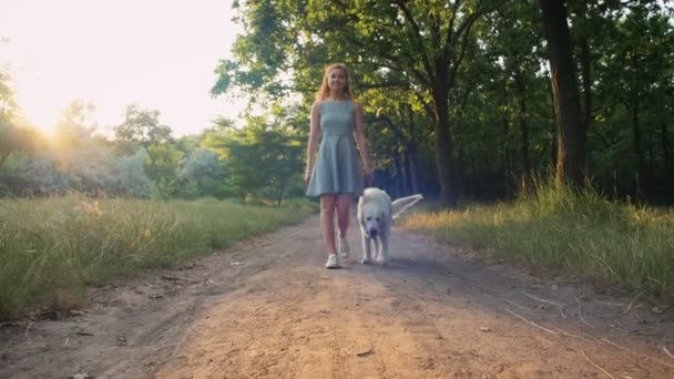 Femme marchant avec Labrador — Video