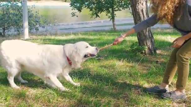 犬と女遊び — ストック動画