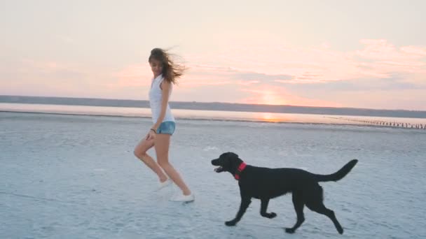 Mujer jugar con negro perro — Vídeo de stock