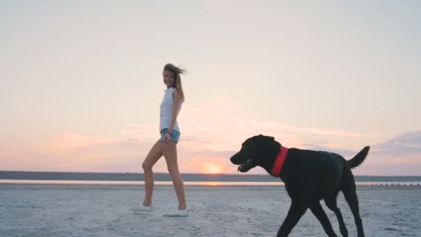 Joven mujer jugar con perro — Vídeo de stock