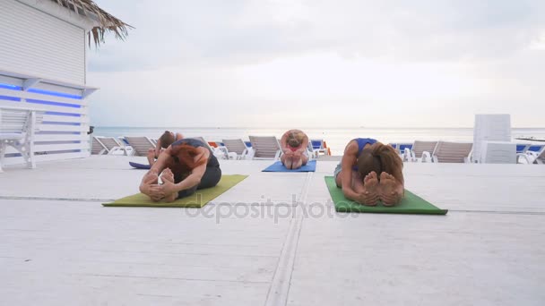 Grup günbatımı sırasında yoga yaparken — Stok video