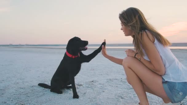 Giovane donna gioca con il cane — Video Stock