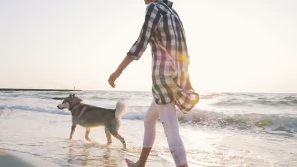 Mujer caminando con perro — Vídeos de Stock