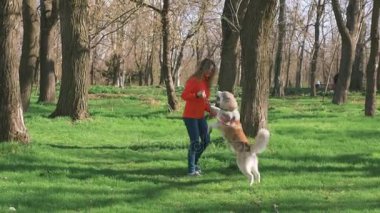 husky ormandaki kadınla