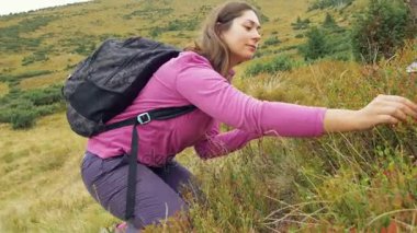 kadın dağlarında çilek toplama