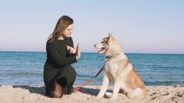 Husky ile oynayan kadın