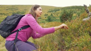 kadın dağlarında çilek toplama