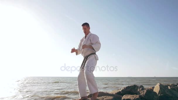 Professionele karate vechter — Stockvideo