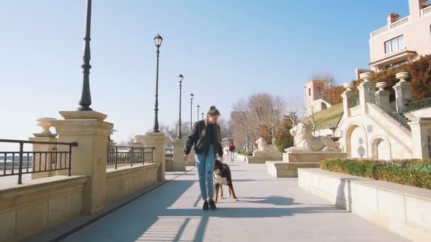 Woman play with black Dog — Stock Video