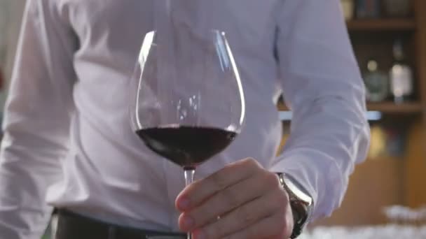 Sommelier Mann Verkostung Wein — Stockvideo