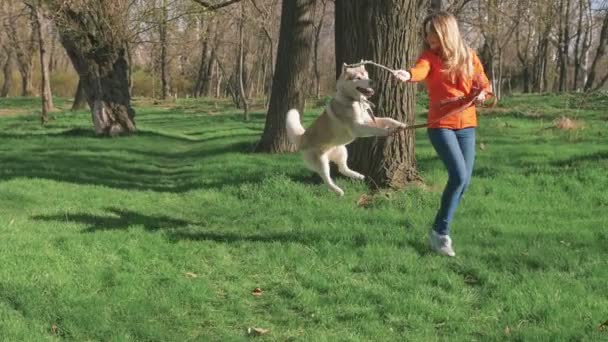 Mujer con husky en el bosque — Vídeo de stock