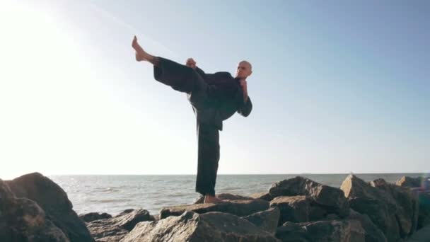 Professionele karate vechter — Stockvideo