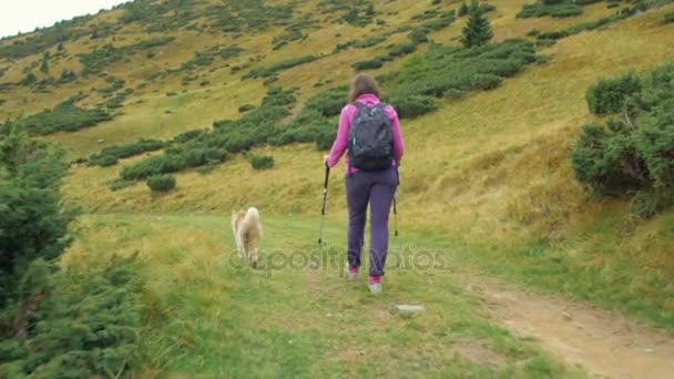 Woman with husky and black dog — Stock Video