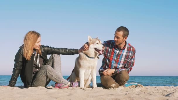 Pareja con husky en la costa — Vídeos de Stock