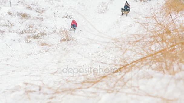 Девушка катается на санках в снежную зиму — стоковое видео