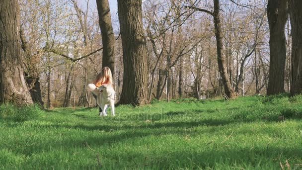 Mujer con husky en el bosque — Vídeos de Stock