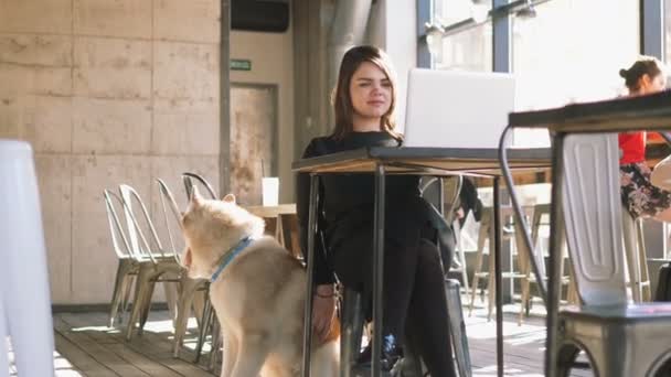 Femme avec husky dans le café — Video