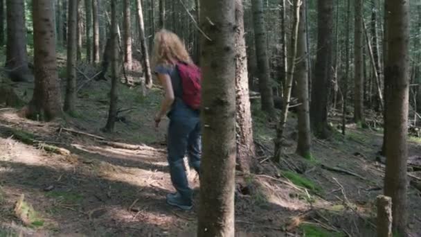 Woman trekking in forest — Stock Video