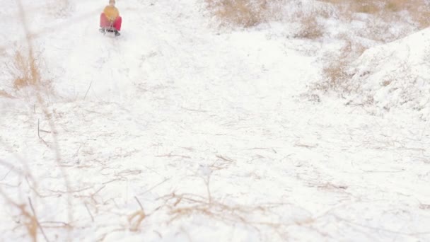 Мальчик катается на санках в снежную зиму — стоковое видео