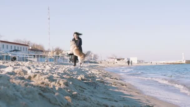 Frau läuft mit Husky — Stockvideo