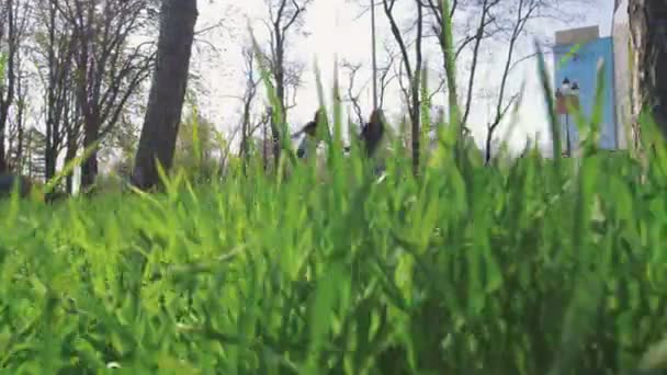filles planche à cheval au parc  