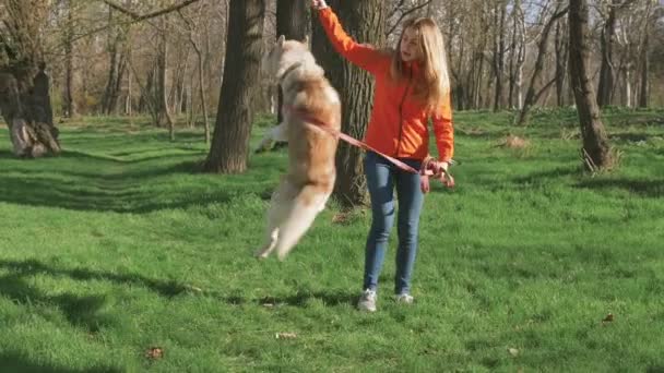 Vrouw met husky in bos — Stockvideo