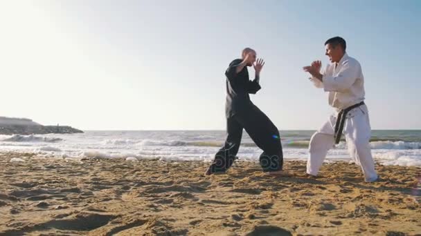 Lutadores de karatê lutando na praia — Vídeo de Stock