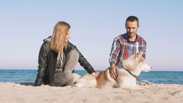 Couple with husky on seacoast — Stock Video