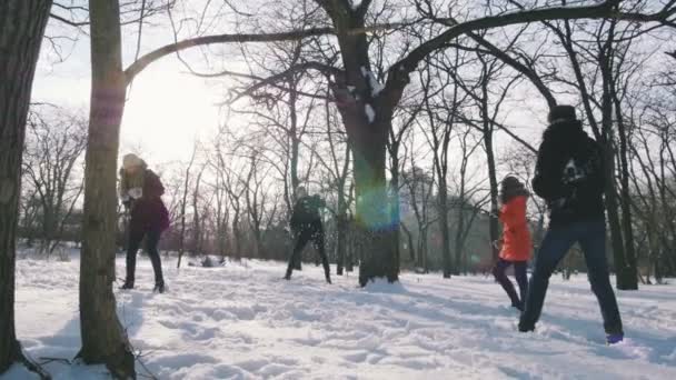 Люди, развлекающиеся зимой — стоковое видео