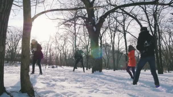 Pessoas se divertindo no inverno — Vídeo de Stock