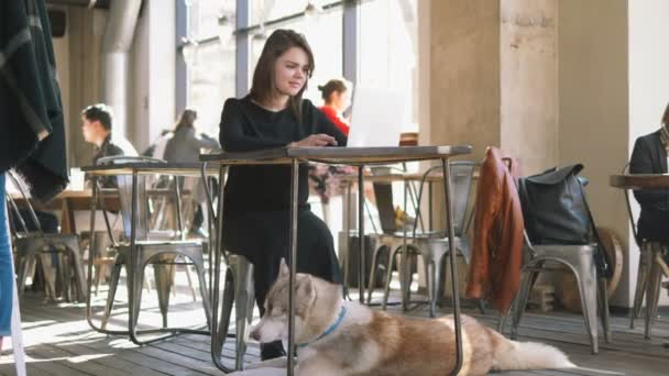 Vrouw met husky in café — Stockvideo