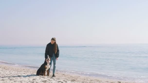 Femme jouer avec noir chien — Video