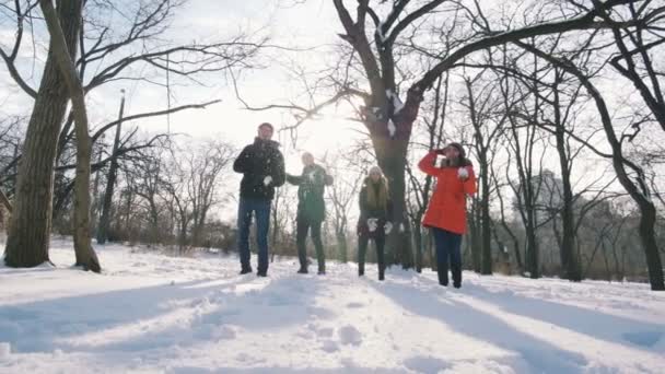 Gente divirtiéndose en invierno — Vídeo de stock