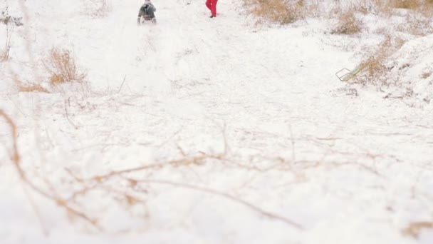 女孩坐雪橇在雪的冬天 — 图库视频影像