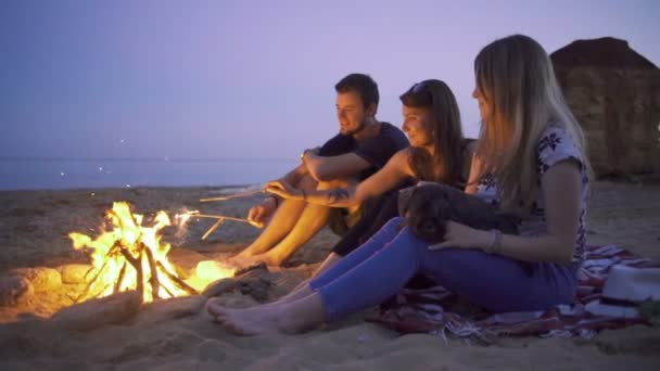 Happy friends near campfire — Stok Video