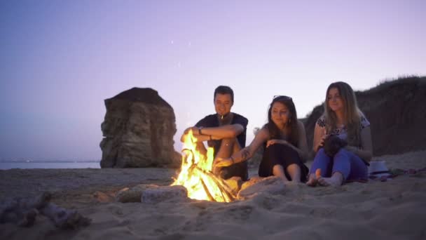 Prieteni fericiți lângă campfire — Videoclip de stoc