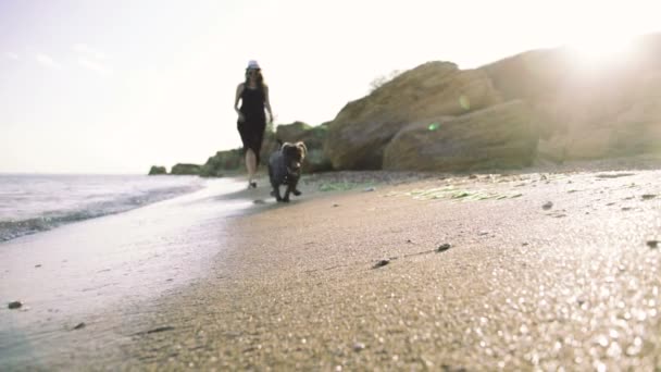 Mujer con perro en la playa — Vídeos de Stock