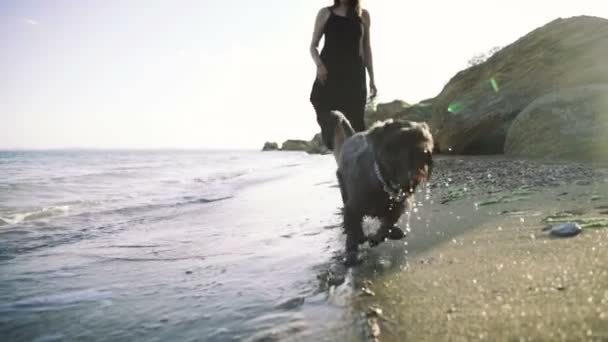 Nő kutyával a strandon — Stock videók