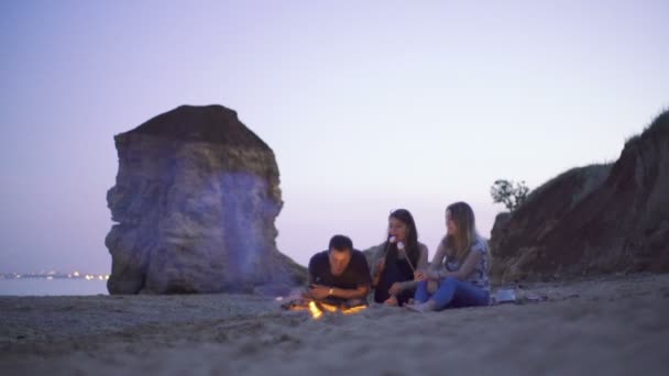 Przyjaciele prażenie marshmallows na ognisku — Wideo stockowe