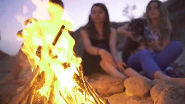 Friends near campfire with dog — Stock Video