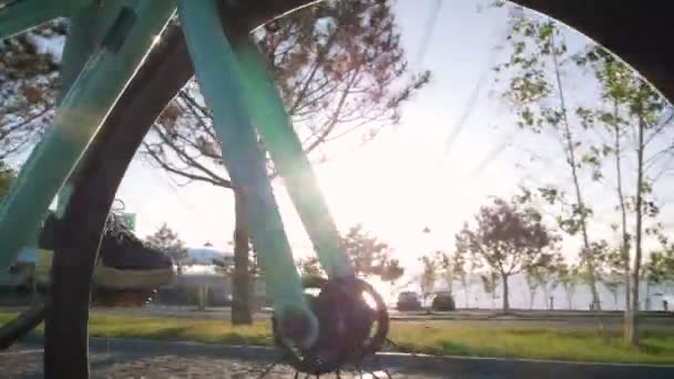 Nő lovaglás rögzített halászfelszerelés kerékpár — Stock videók