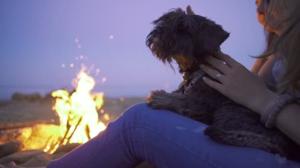 Друзі біля багаття з собакою — стокове відео