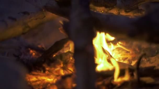 Lagerfeuer am Sandstrand — Stockvideo